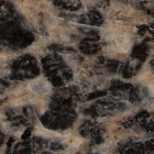 Leopard Skin(Black)