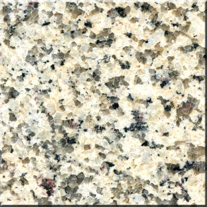 New Chrysanthemum Yellow