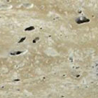 Beige Travertine