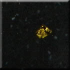 Black Golden