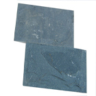 Mushroom Slate