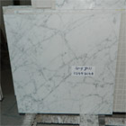 Italy White Carrara